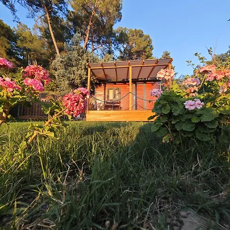 Campingplads Tiny Mini House